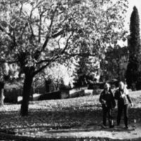 1984 Students, Walking 12