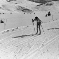 1990 Skiing, Cross Country 04