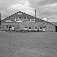 Elgin, Asgrow