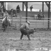 1991 Eastern Rodeo, Roping 05