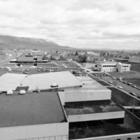 1974 Campus 06