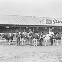 Union, Phymere Stock Farm