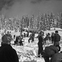 Mt. Rainier, Snow Hike 6