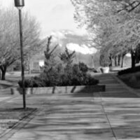 1987 Campus, Planting Beds 02