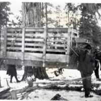 1912 Oregon, Elk Imports 4