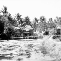 Binmaley Fish Ponds