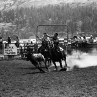 1979 Rodeo, Roping Pairs 06
