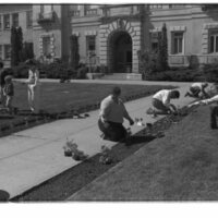 1989 Employees, Planting 15