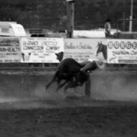 1979 Rodeo, Bulldogging 07
