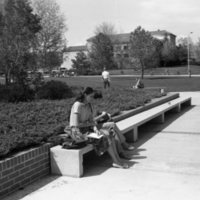 1985 Students, April Outdoor Candid Shots 02
