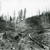 Sumpter, Black Pine Flume 1
