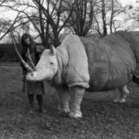 1977 Sculpture, Rhino 05