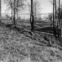 Island City, Country Club 2