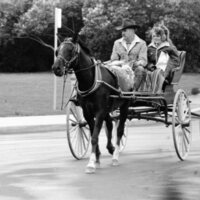 1988 Employee, Jack Johnson Carriage Ride 06