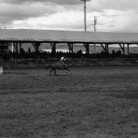 1982 EOSC Rodeo, Women's Barrel Racing 06