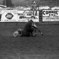 1979 Rodeo, Bulldogging 09