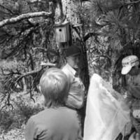 1986 Science Camp, Outdoors 06