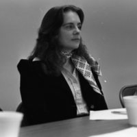 1980 Regional Service Institute Advisory Committee 04