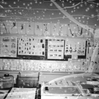 1949-50 Biology Lab Display 2