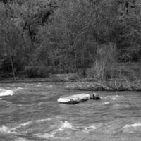 1985 Raft Race 03