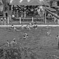 Cove Pool, Swimming 1