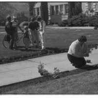 1989 Employees, Planting 16