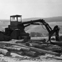 1980 Log Plant 04