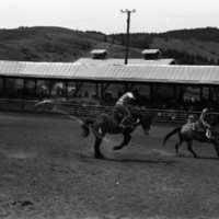 1981 Rodeo, Bronco Riding 02