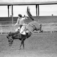 1978 Rodeo, Bronco Riding 19