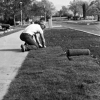 1986 Employees, Groundskeepers 17