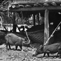 Ambulong Island 8