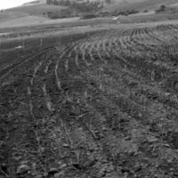 1980 Agriculture Study 11