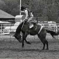 1986 Springfest, Rodeo Bronco Riding 01