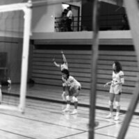 1985 Volleyball Action 39