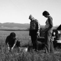 1980 Agriculture Study 01