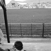 1978 Rodeo Grounds