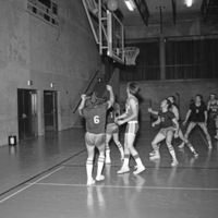 California, Basketball Game 5