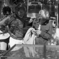 1977 Festival, Shopping