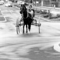 1988 Employee, Jack Johnson Carriage Ride 04