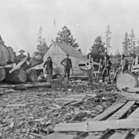 Elgin, McIntyre Sawmill 1