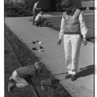 1989 Employees, Planting 10