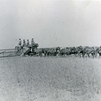 GRV, Threshing Operation 7
