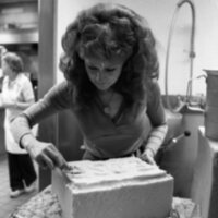 1985 Chancellor Visit, Cake 09