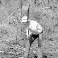1974 Ackerman Elementary School, Field Trip 26