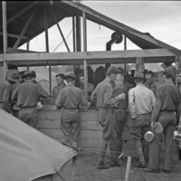A line of soldiers in front of a temporary wooden building being served food by those within the building.