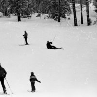 1981 Skiing, Recreation 01
