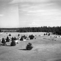 An overview of a large wooded clearing, in which dozens of tents can be seen scattered uniformly throughout the clearing.