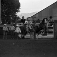 1979 Rodeo, Bronco Riding 03