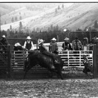 1991 Eastern Rodeo, Bull Riding 03