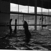 1989 Quinn Coliseum, Swimming Pool 18